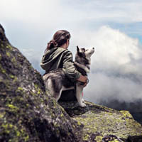Viajar con mascota